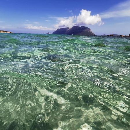 Appartamento Da Wanna Olbia Bagian luar foto