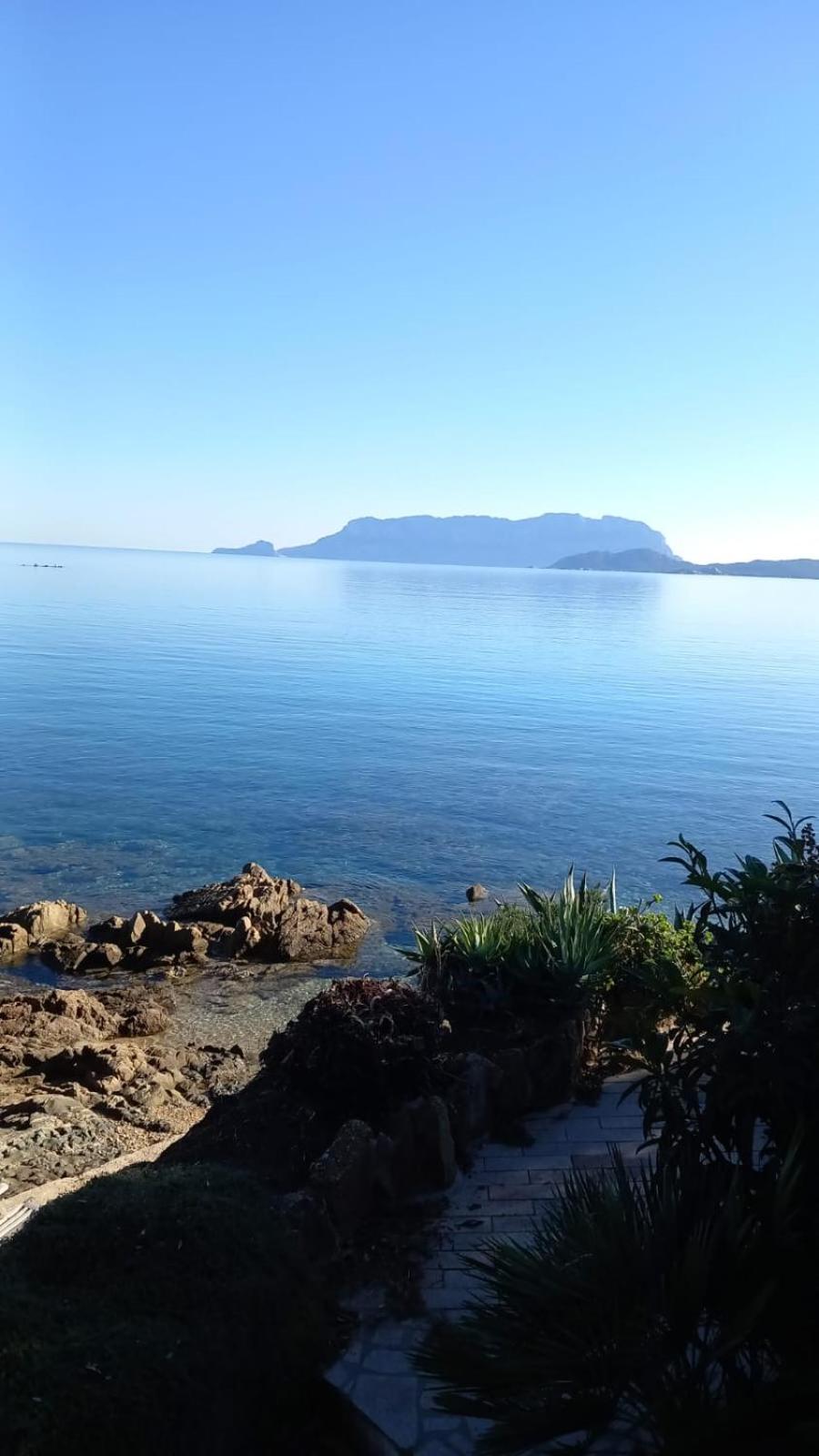 Appartamento Da Wanna Olbia Bagian luar foto