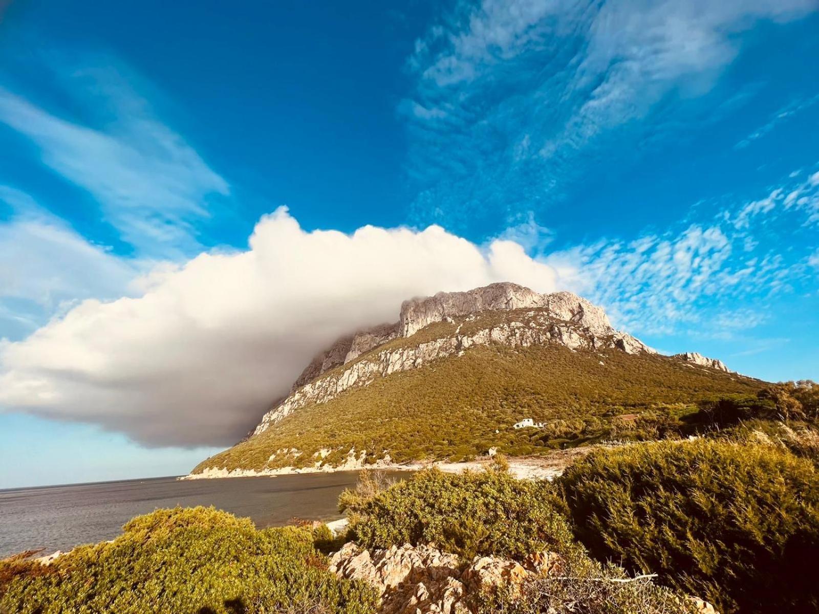Appartamento Da Wanna Olbia Bagian luar foto
